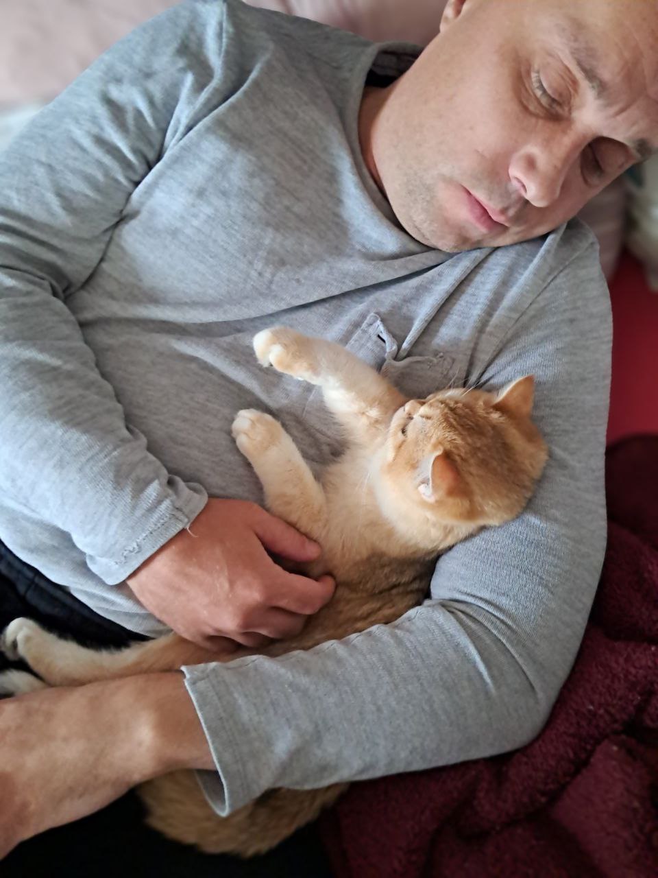 Котёнок у семьи 4